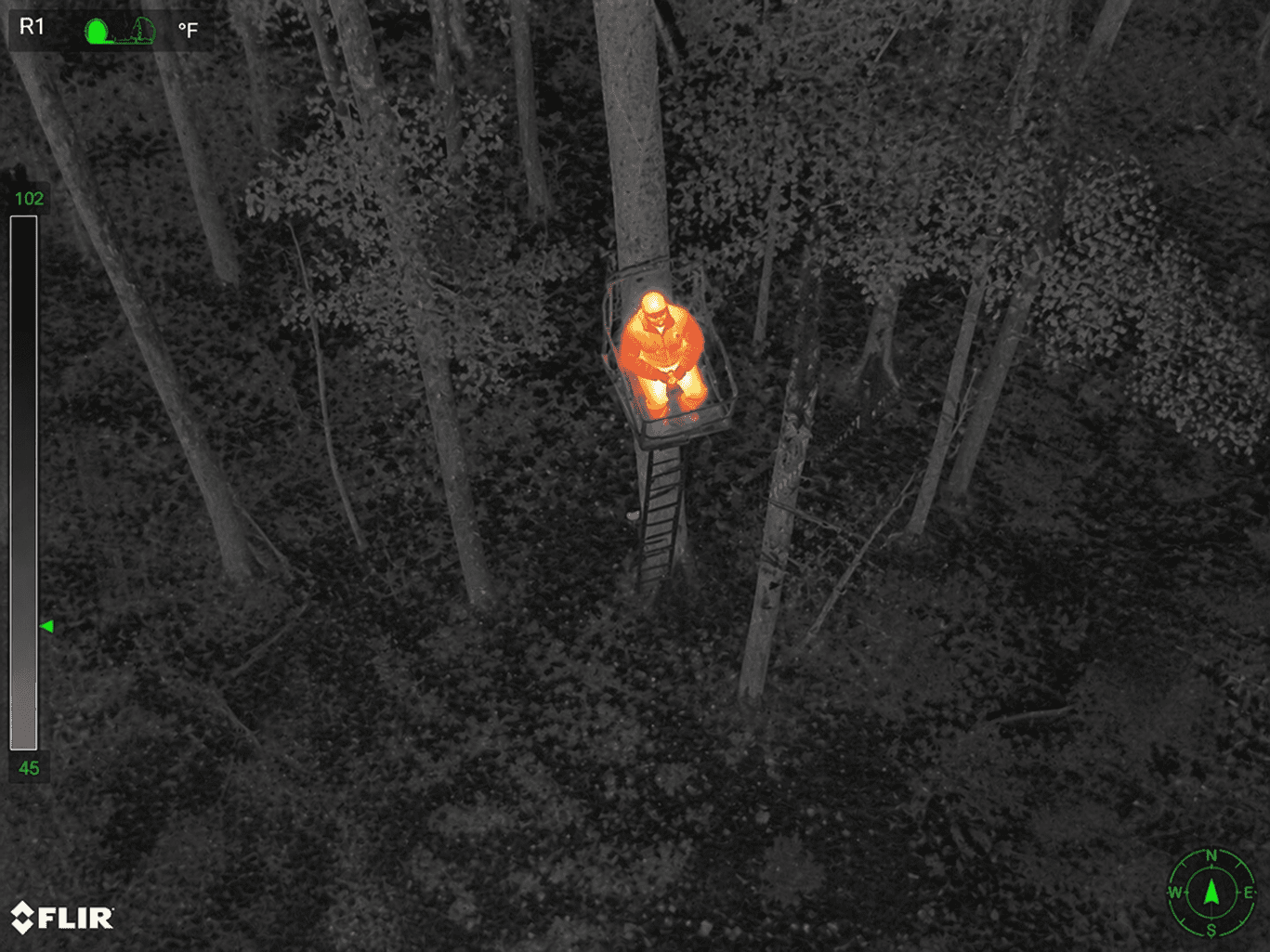 Infrared view of hunter in forest.