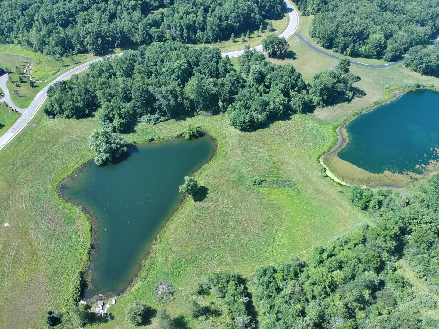 Serene landscape with winding road and ponds